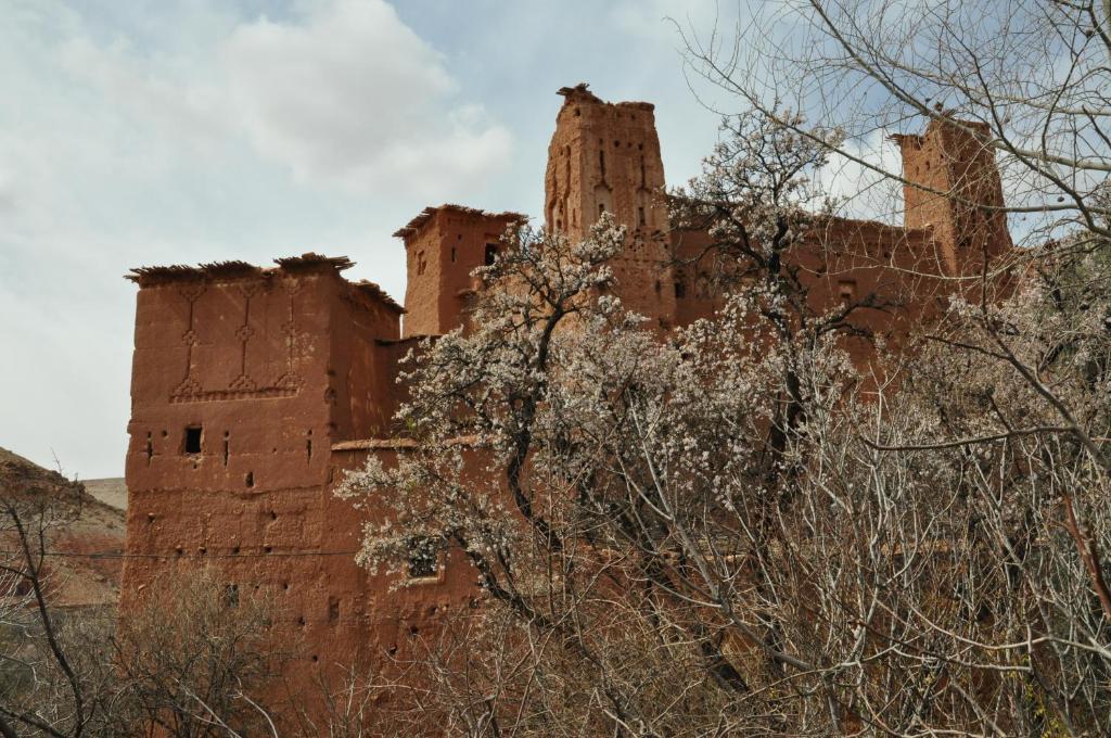 Telouet Kasbah Tigmi N'Oufella Bed & Breakfast エクステリア 写真